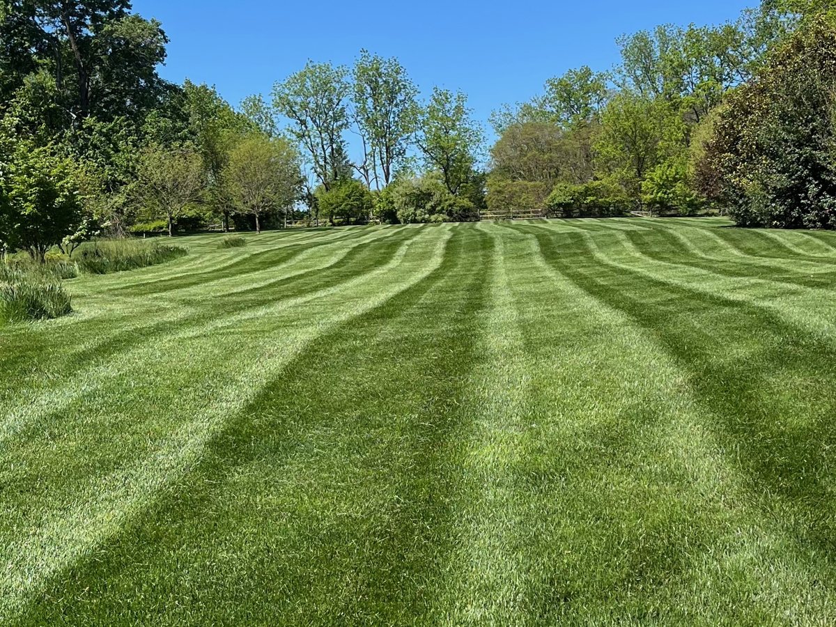 A large, freshly striped lawn cared for by The Lawn Care Co.